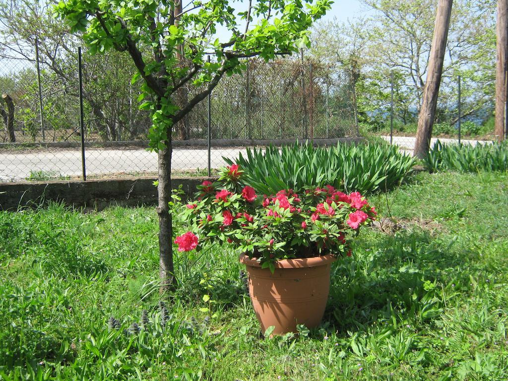 Asprovalta Rooms Kariotes Экстерьер фото